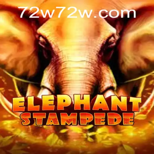 ElephantStampede: A New Adventure Awaits